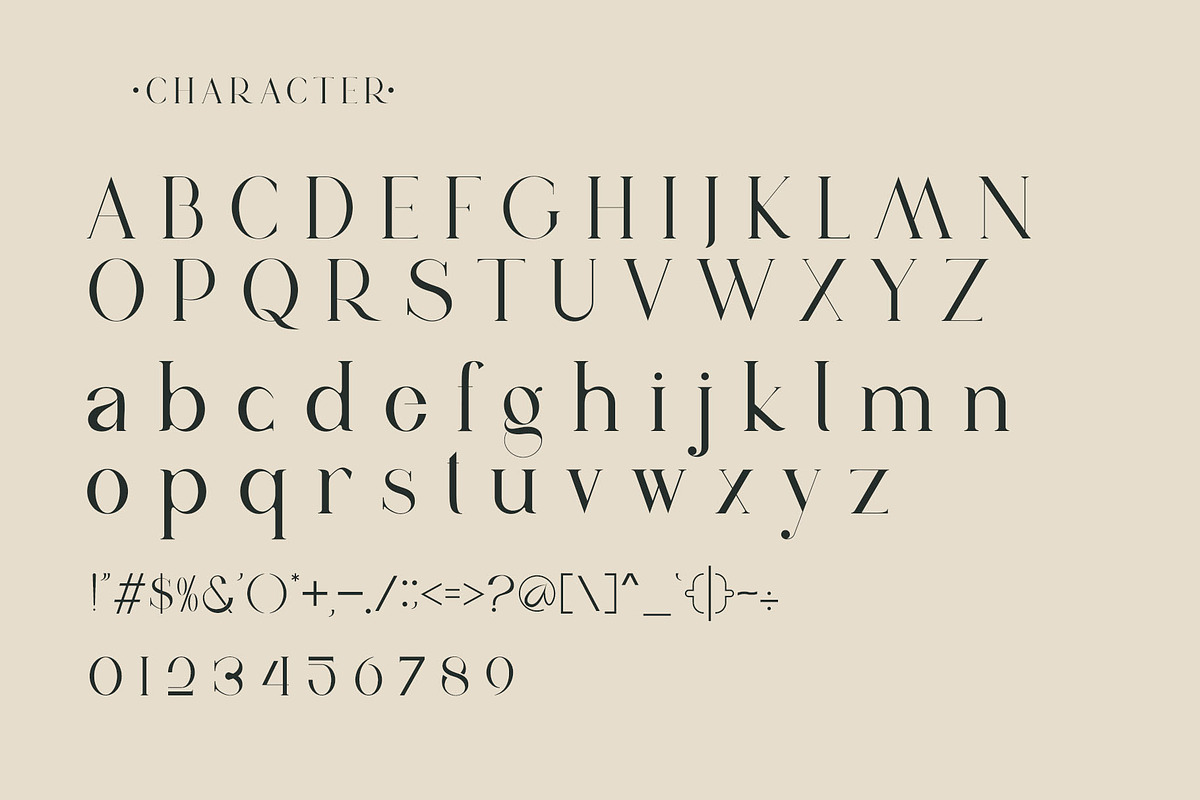 vindea Ligature Serif Typeface, a Serif Font by Humaira_std (Photo 7 of 11)