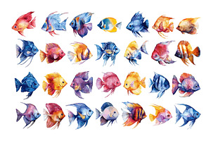 Sea coral fish watercolor vector set, an Animal Illustration by Valerie Bodnar