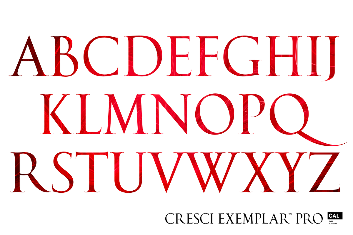 Cresci Exemplar Pro, a Serif Font by California Type Foundry (Photo 4 of 9)