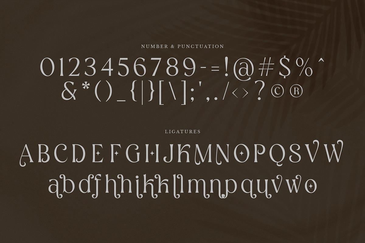 Botanics Display Variable, a Serif Font by Typetemp Studio (Photo 9 of 11)
