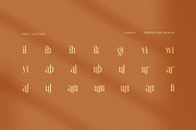 Camila Elegant Ligature Serif Font, a Serif Font by Perfectype (Thumbnail 8 of 8)