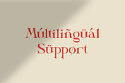 Sage Elegantia - Modern Serif, a Serif Font by Sohel Studio (Thumbnail 11 of 11)
