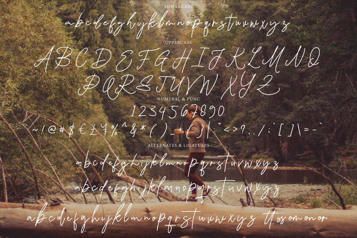 Damione - Handwritten Signature, a Handwritten Font by tebaltipislab (Photo 5 of 10)