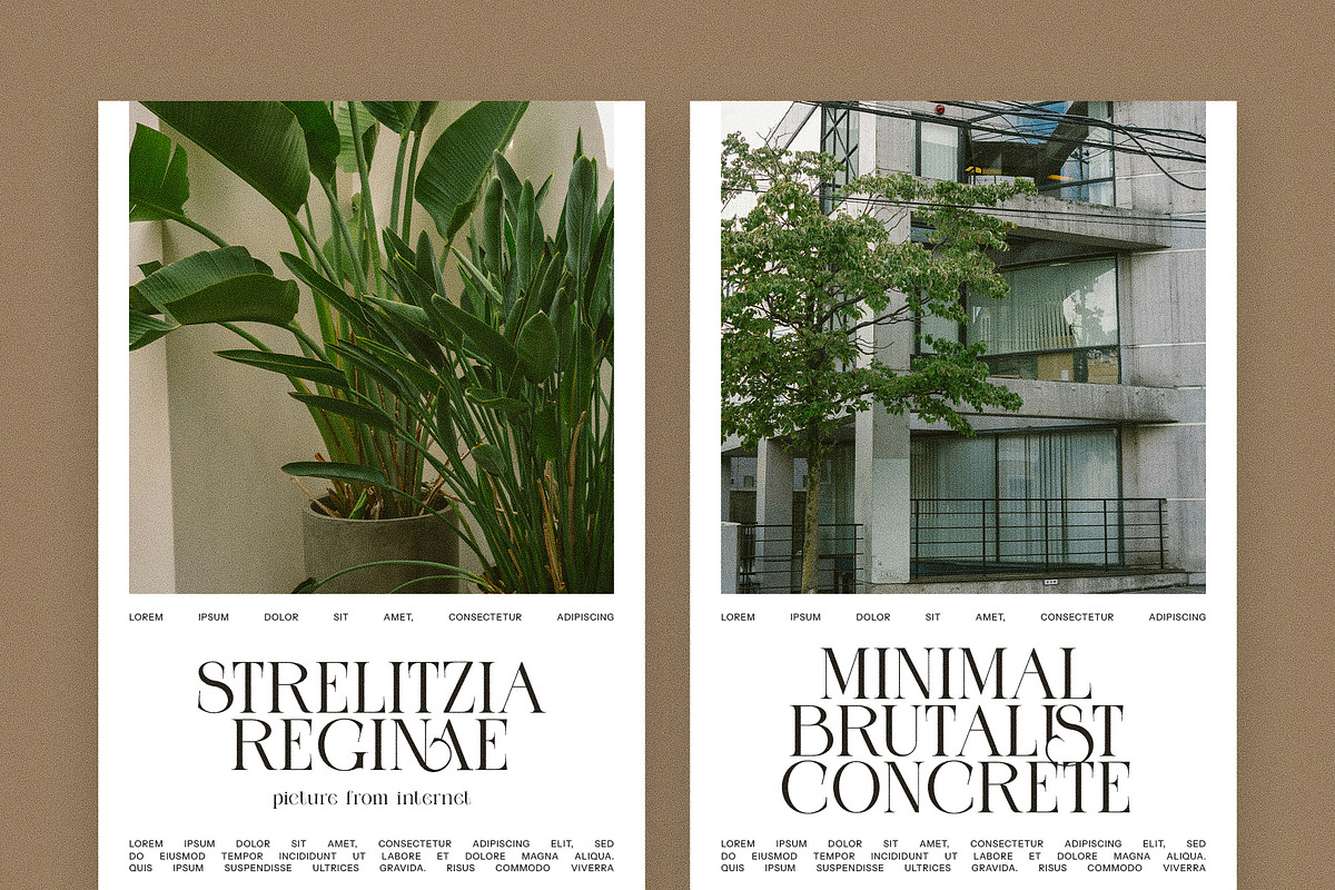 Mengko Elegant Serif Font, a Serif Font by Perfectype (Photo 3 of 8)