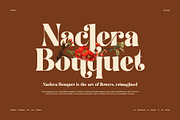 Migillay Elegant Serif Display Font, a Serif Font by Elegant Font (Thumbnail 3 of 8)