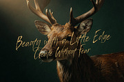 Manstera Leviosa - Expressive Script, a Script Font by HypeWorksCo (Thumbnail 4 of 15)