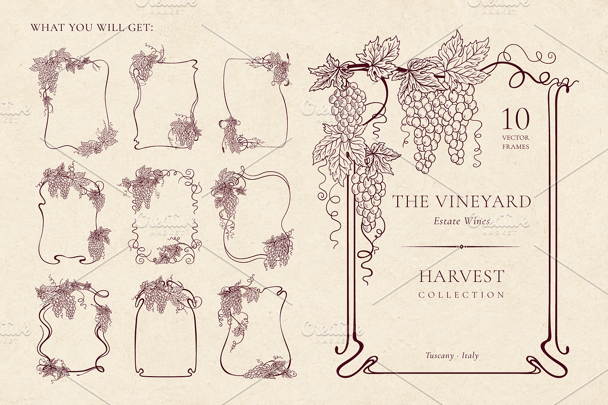 Vintage Grape Vector set Wine Labels, a Food Illustration by Neliakott ♥ (Photo 4 of 10)