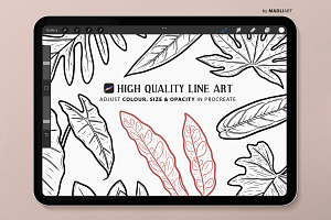 Tropical Leaf Procreate Brush Stamps