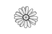 Daisy Flower Line Art Vector Bundle0, an Illustration by jahid234 (Thumbnail 29 of 51)