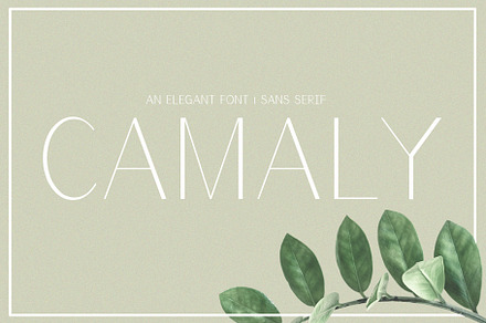 Camaly | san serif