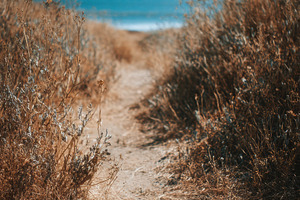 Abandoned Flip-Flops on Dusty Beach, a Holiday Photo by Virgo Studio