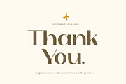 Loreda, a Serif Font by Ardyanatypes (Thumbnail 12 of 12)