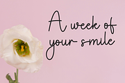 Wonderful Moment, a Handwritten Font by InermediaSTUDIO (Thumbnail 2 of 8)