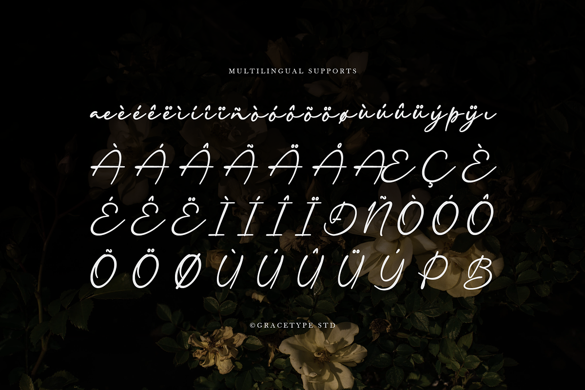 Dekalea | Elegant Signature Script, a Script Font by gracetype_studio (Photo 11 of 12)
