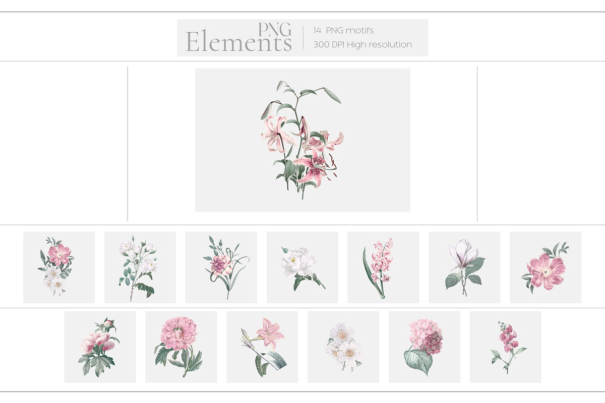 Florenza Botanical Flower Pattern, a Pattern Graphic by Fabrivo (Photo 4 of 10)
