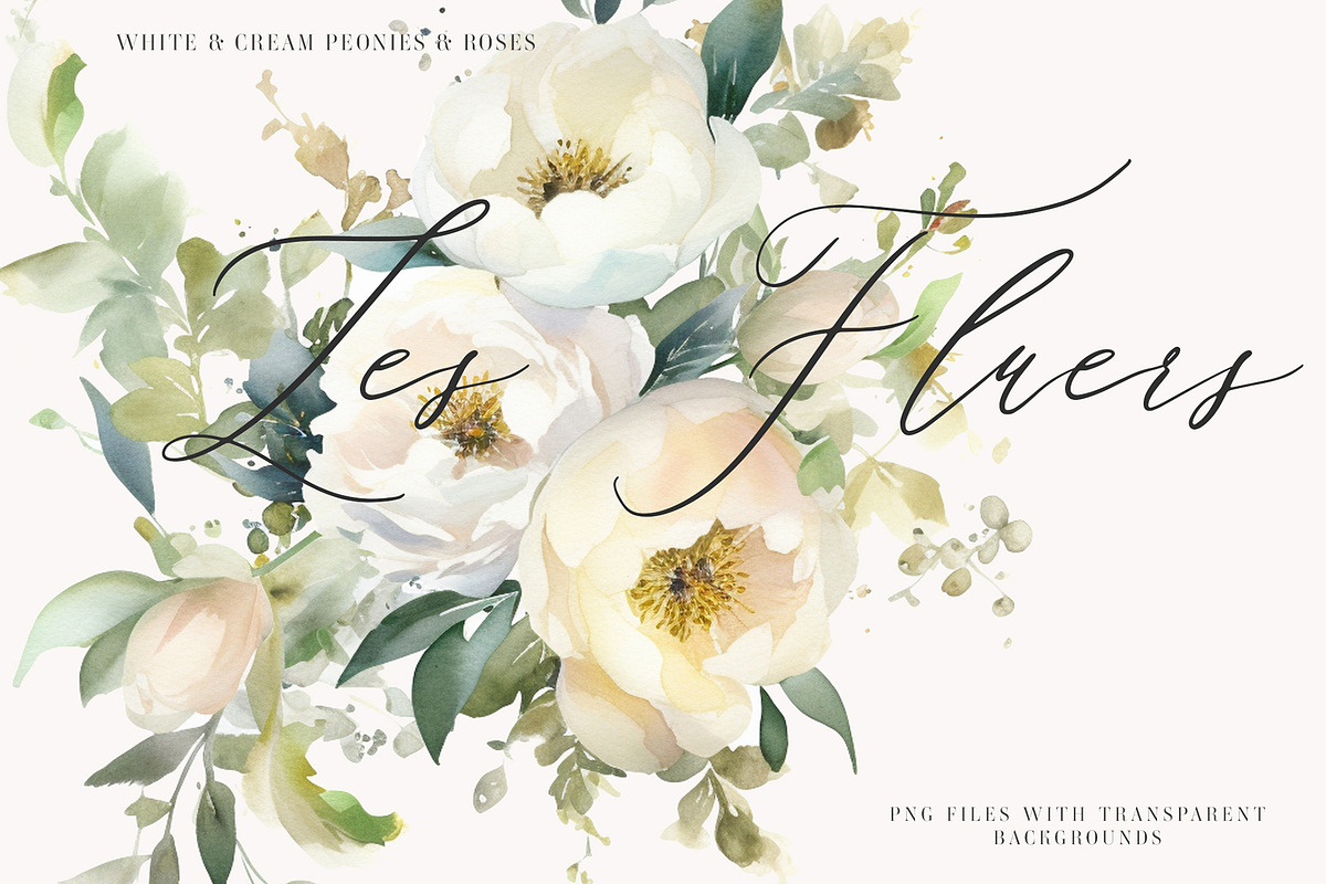 White and Cream Peonies and Roses, a Decorative Illustration by Twigs and Twine (Photo 5 of 6)