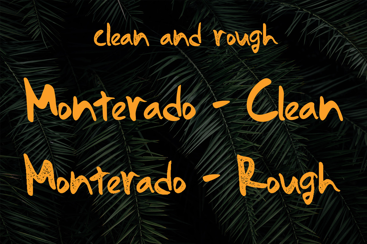 Monterado - Handwritten Brush Font, a Font by Wellscript Studio (Photo 2 of 7)