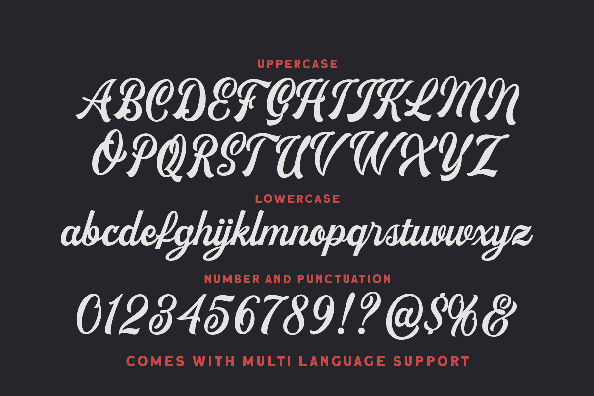 Revictus Script, a Script Font by Letterhend Studio (Photo 7 of 9)