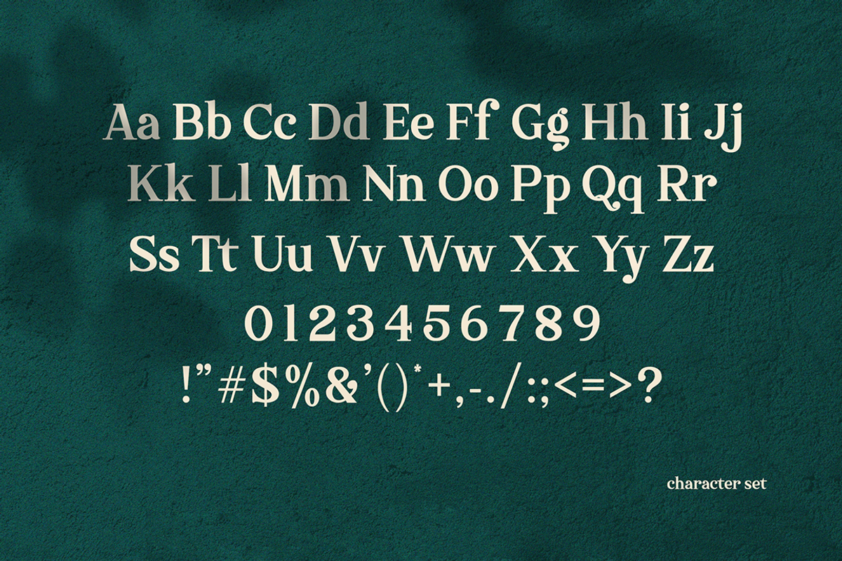 Sharon Modern/Vintage Font, a Serif Font by Haksen (Photo 9 of 11)