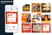 Autumn Instagram Animated Template, a Social Media Template by Brandspark Mini (Thumbnail 1 of 2)