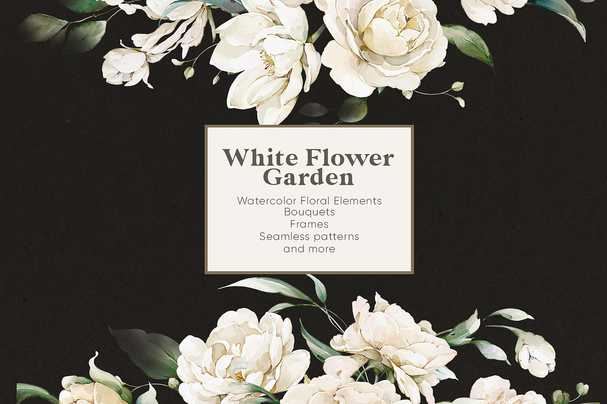 Watercolor White Flowers Collection, a Decorative Illustration by Damian Roh (Photo 3 of 16)