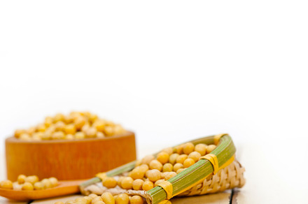 organic soya beans, a Food & Drink Photo by keko64
