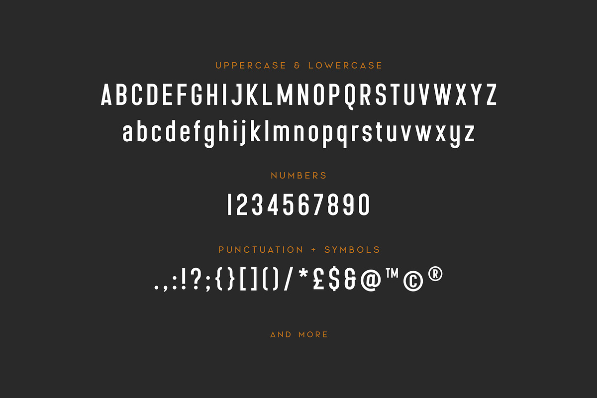 Nevis Ridge - Condensed Display Font, a Sans Serif Font by Thistle Type (Photo 3 of 9)