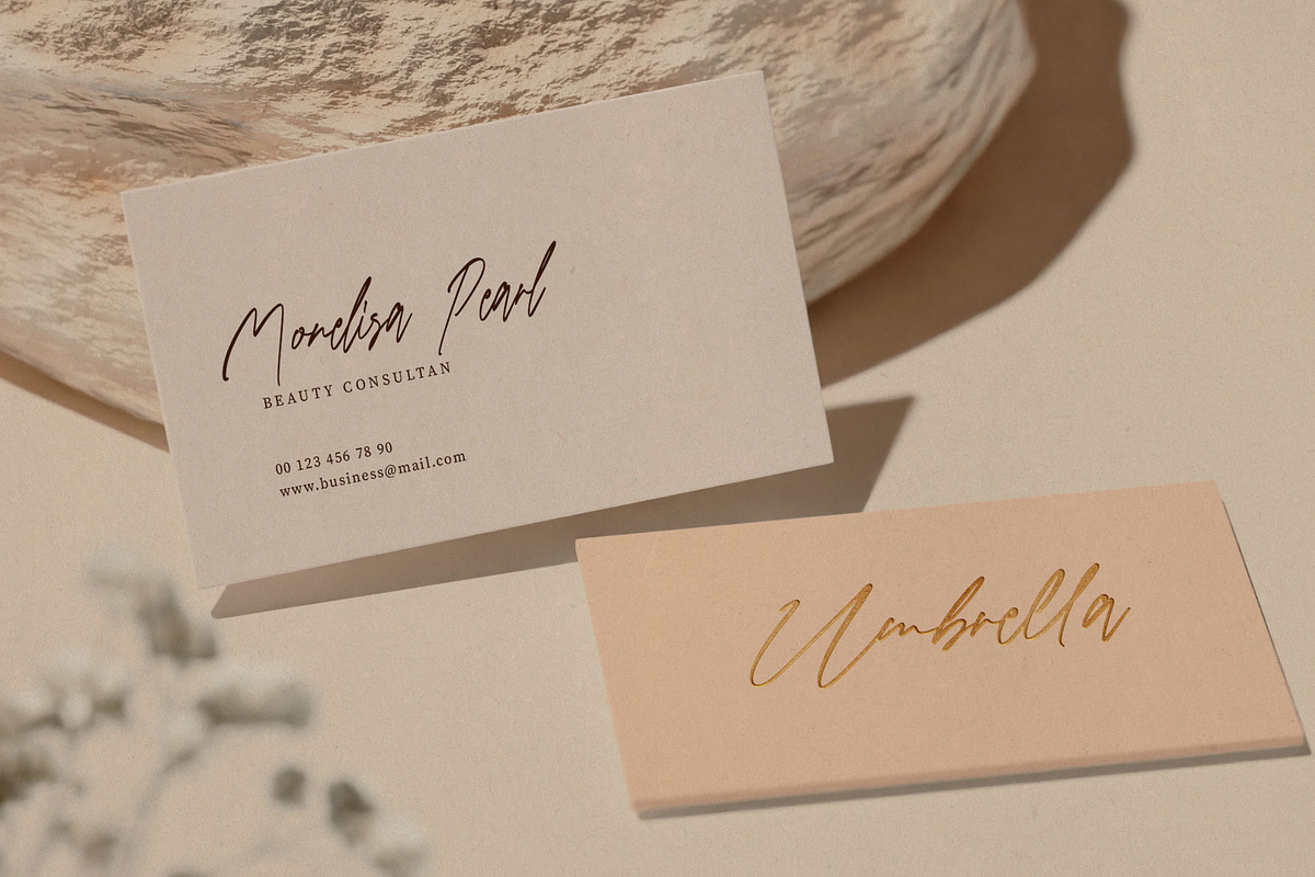 Renastica Modern Script Font, a Script Font by RantautypeStudio (Photo 4 of 15)