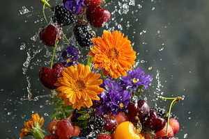Fresh Fruit Splash Vibrant Flowers S, a Photo by Pixeness Studio