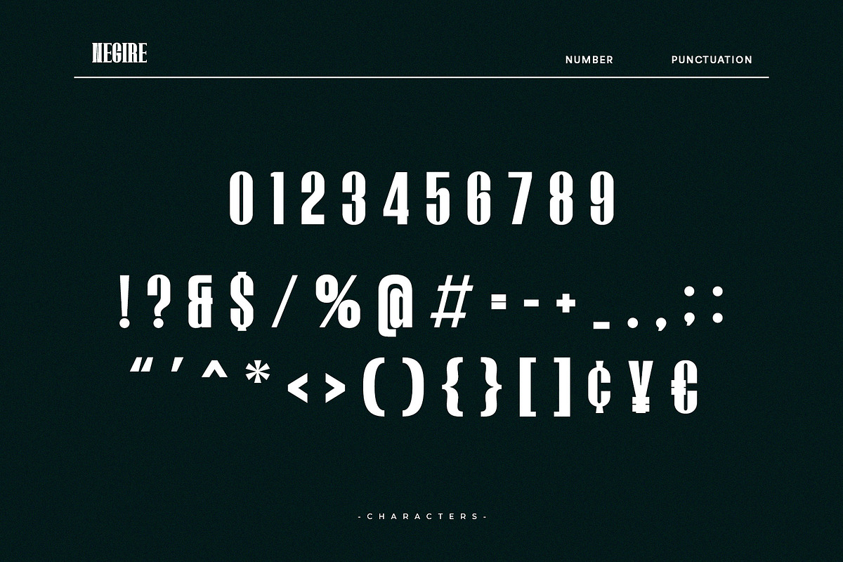 Negire, a Serif Font by Almeera Std (Photo 3 of 6)