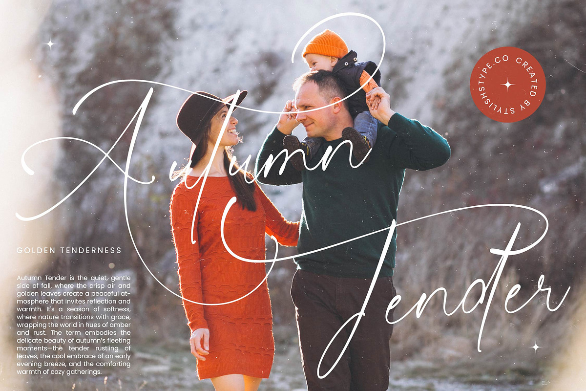 Sunlite Kinetic Stylish Calligraphy, a Script Font by stylishtype.co (Photo 6 of 20)