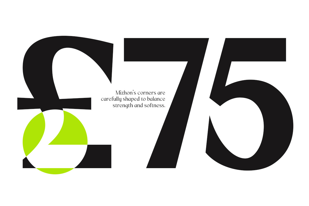 Mizhon | 36 Fonts, a Serif Font by Skinny Type (Photo 11 of 15)