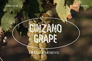 DALGONA ROLGADO !, a Sans Serif Font by Vultype Co. (Thumbnail 5 of 13)