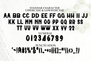 Stripe Vintage, a Script Font by InermediaSTUDIO (Thumbnail 7 of 8)