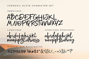 Mollita Olstd - Handwriting Script