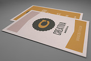 Clean Business Card Template 03, a Business Card Template by MIIM (Thumbnail 3 of 4)