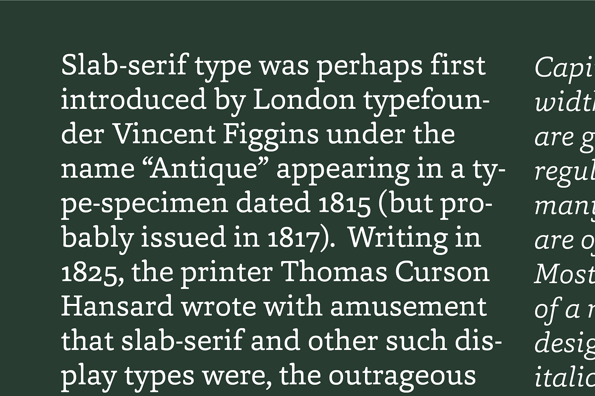 Capita, a Serif Font by Hoftype (Photo 3 of 15)