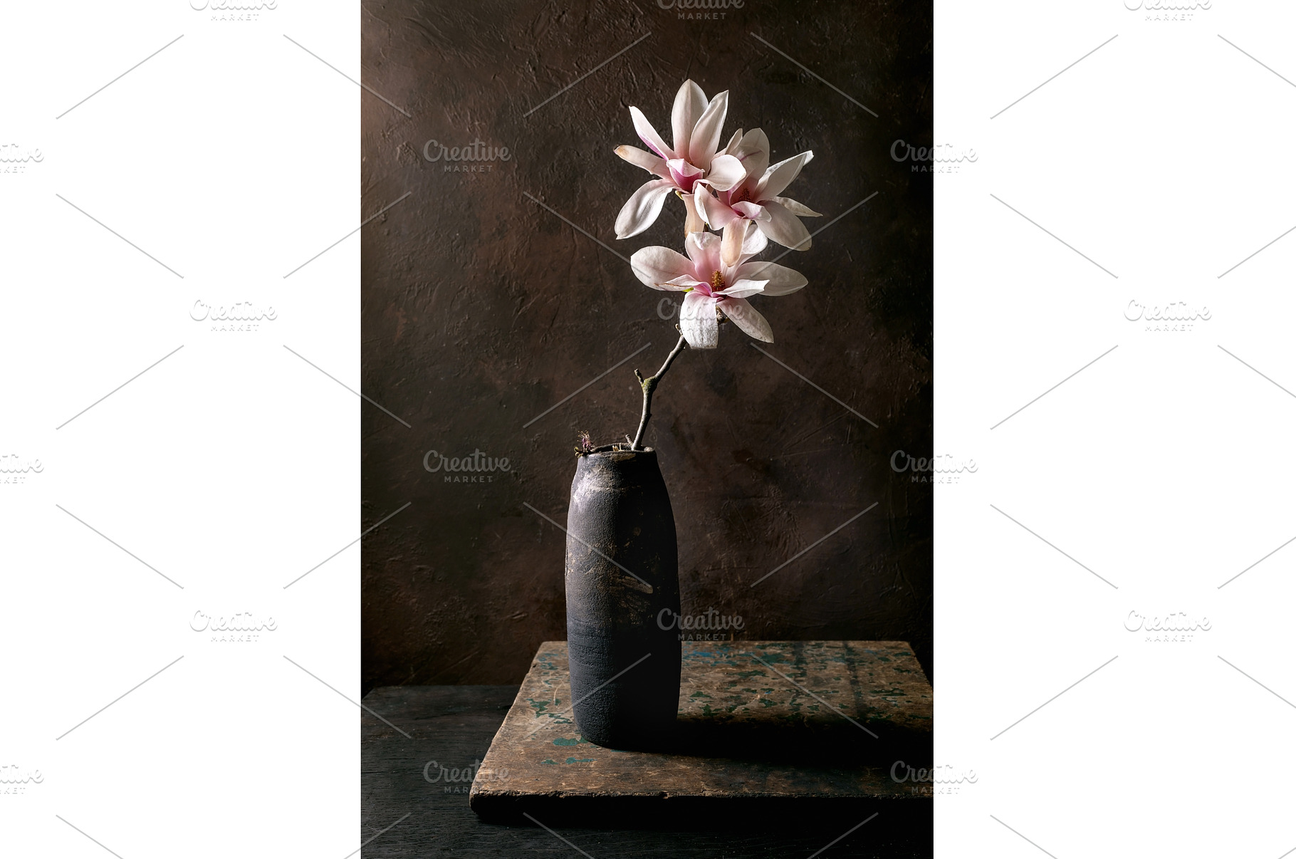 Elegant Magnolia In Black Ceramic, a Nature Photo by Natasha Breen