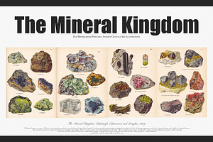 The Mineral Kingdom-Vintage Posters