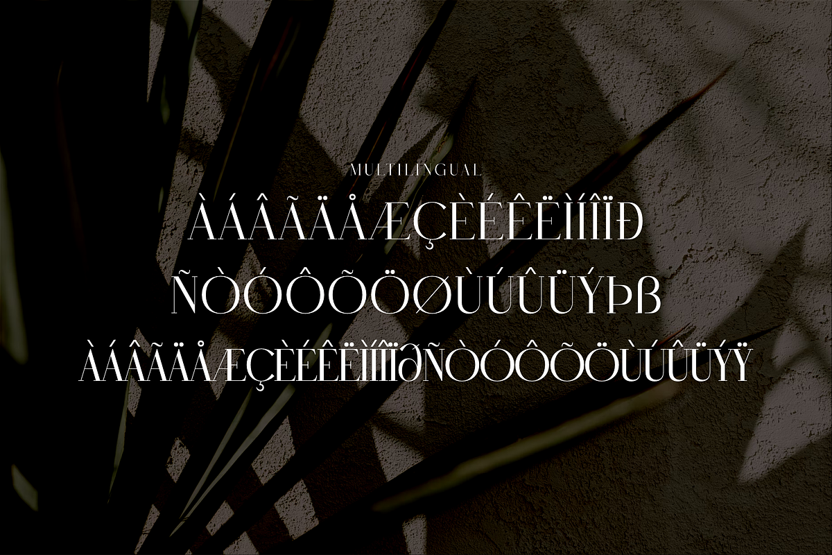 Rughato Wacner A Modern Serif Font, a Serif Font by Storytype Studio (Photo 13 of 15)
