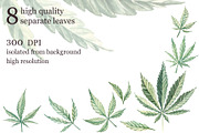 Marijuana leaves, an Object Graphic by Dashamoony (Thumbnail 2 of 3)