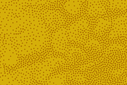 Square Tones Vol. 7 | Halftones, a Texture Graphic by invisiblelayer (Thumbnail 2 of 5)