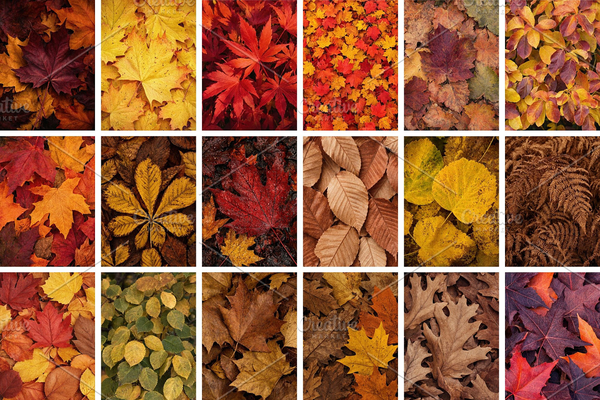 Fall Leaves Background Bundle, a Background Photo by Selenique Studio (Photo 6 of 7)