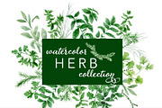 Watercolor Herb Collection, an Illustration by One and Only Paper (Thumbnail 1 of 7)