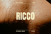 Handric - Bold & Rough Sans Serif, a Sans Serif Font by SHOOM HOUSE (Thumbnail 6 of 11)
