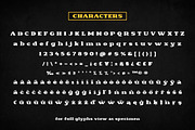 Density Heavy Slab Serif, a Slab Serif Font by Alandya TypeFoundry (Thumbnail 13 of 15)