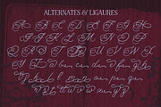 Oh Beads - Beaded Script Font, a Script Font by Setara Langit CreativeStd (Thumbnail 14 of 14)