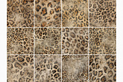 Grungy Leopard, a Decorative Illustration by rileyBgraphics (Thumbnail 2 of 8)
