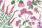 Wild flowers,herbs,herbaceous plants, a Texture Illustration by Good Studio (Thumbnail 20 of 22)