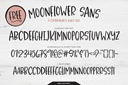 Moonflowers Font Family, a Script Font by Callie Rian & Co. (Thumbnail 13 of 14)